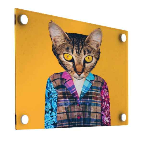 Acrylic Wall Displays